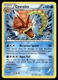 2016 Pokemon XY, Promos - XY Promos XY109 Gyarados Heavy Play