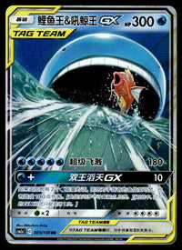 2023 Pokemon Chinese 005/150 Magikarp & Wailord GX Near Mint